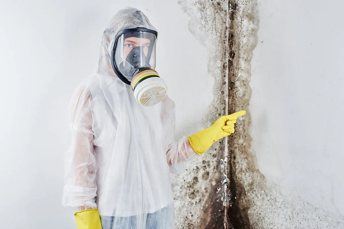 Mold Removal Ottawa about us image