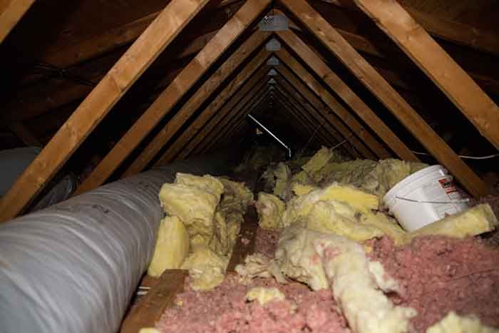 Insulation Removal Service in Ottawa image